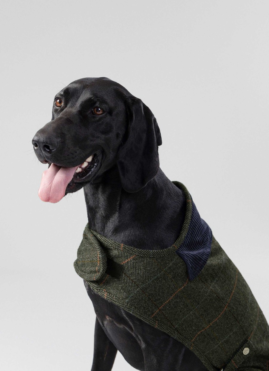 Accessoires Hackett London | Geruite Jas Voor Honden - Groot