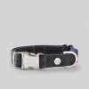 Accessoires Hackett London | Geruite Kraag Voor Honden