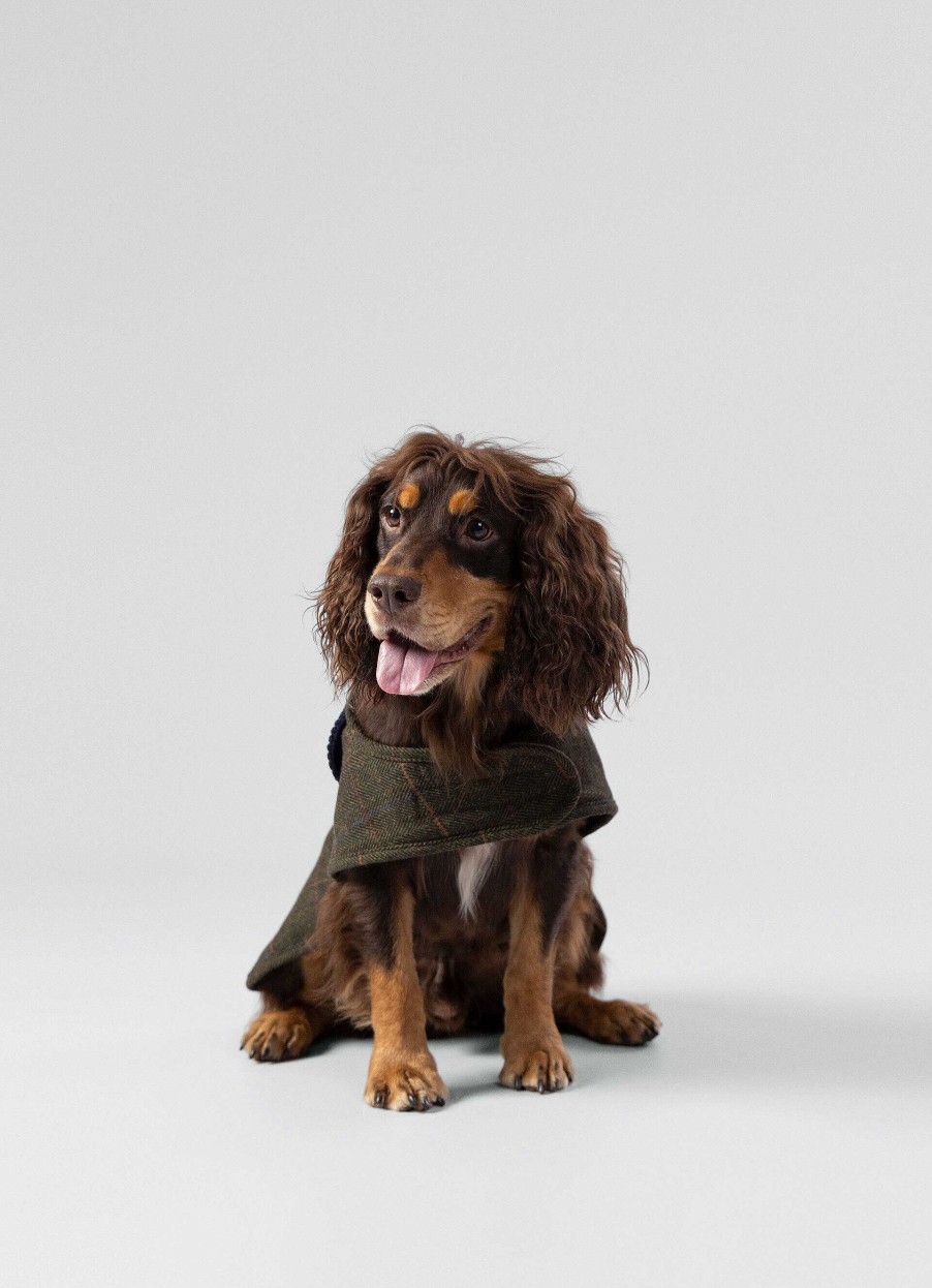 Jongens Hackett London | Geruite Jas Voor Honden - Medium