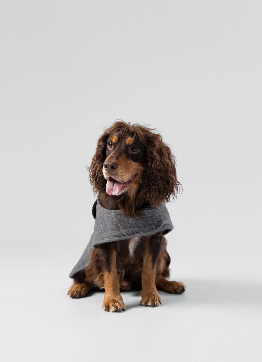 Accessoires Hackett London | Geruite Jas Voor Honden - Medium