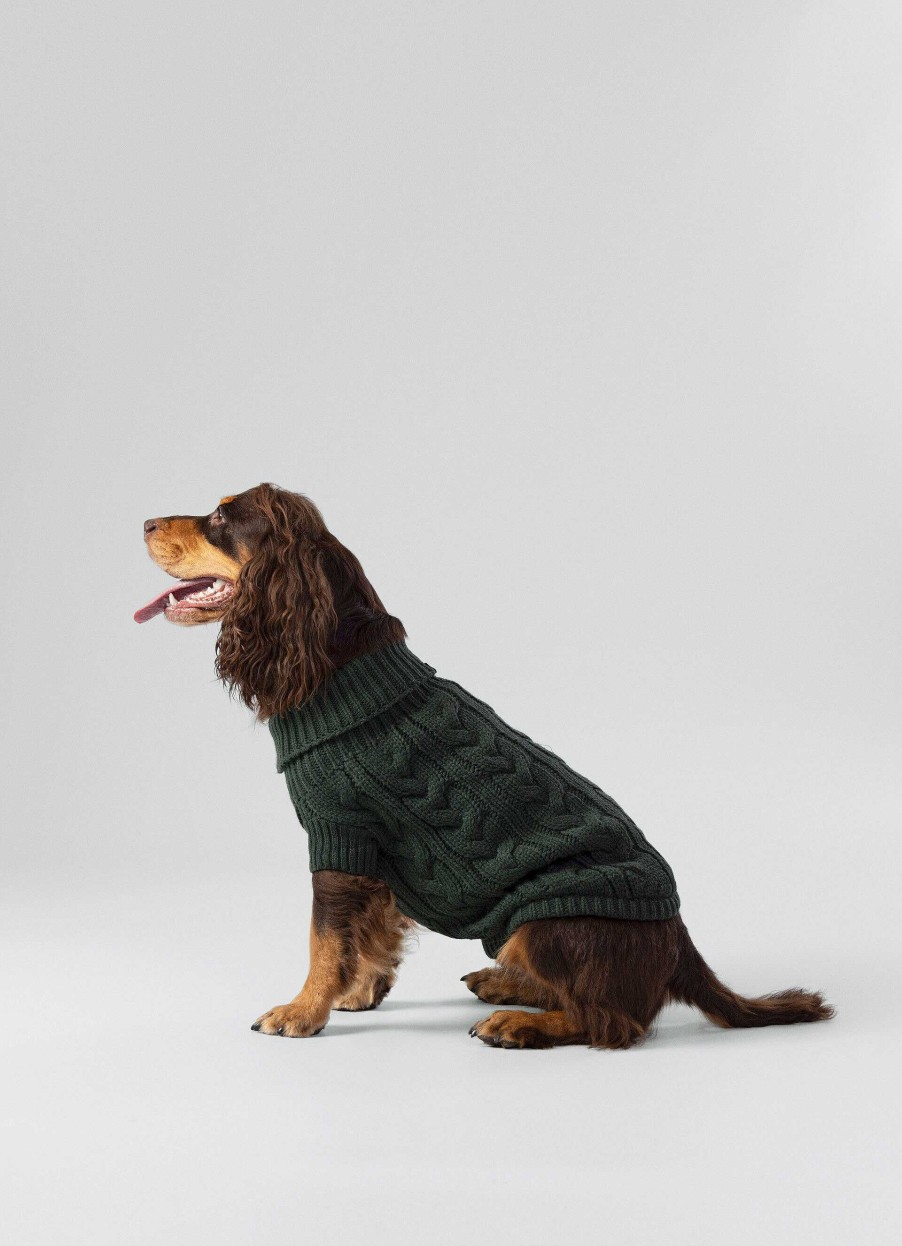 Accessoires Hackett London | Gebreide Kabeltrui Voor Honden