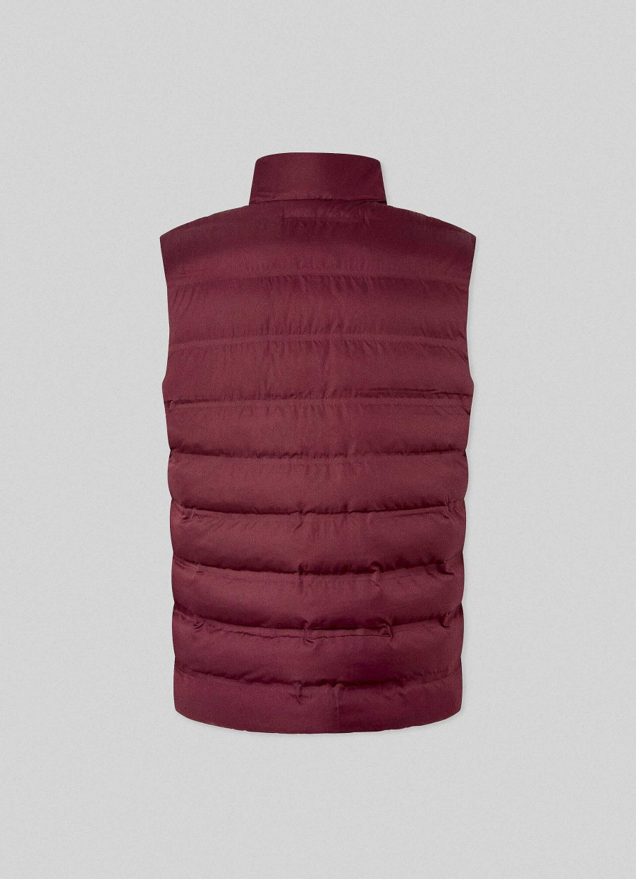 Kleding Hackett London | Gewatteerde Gilet