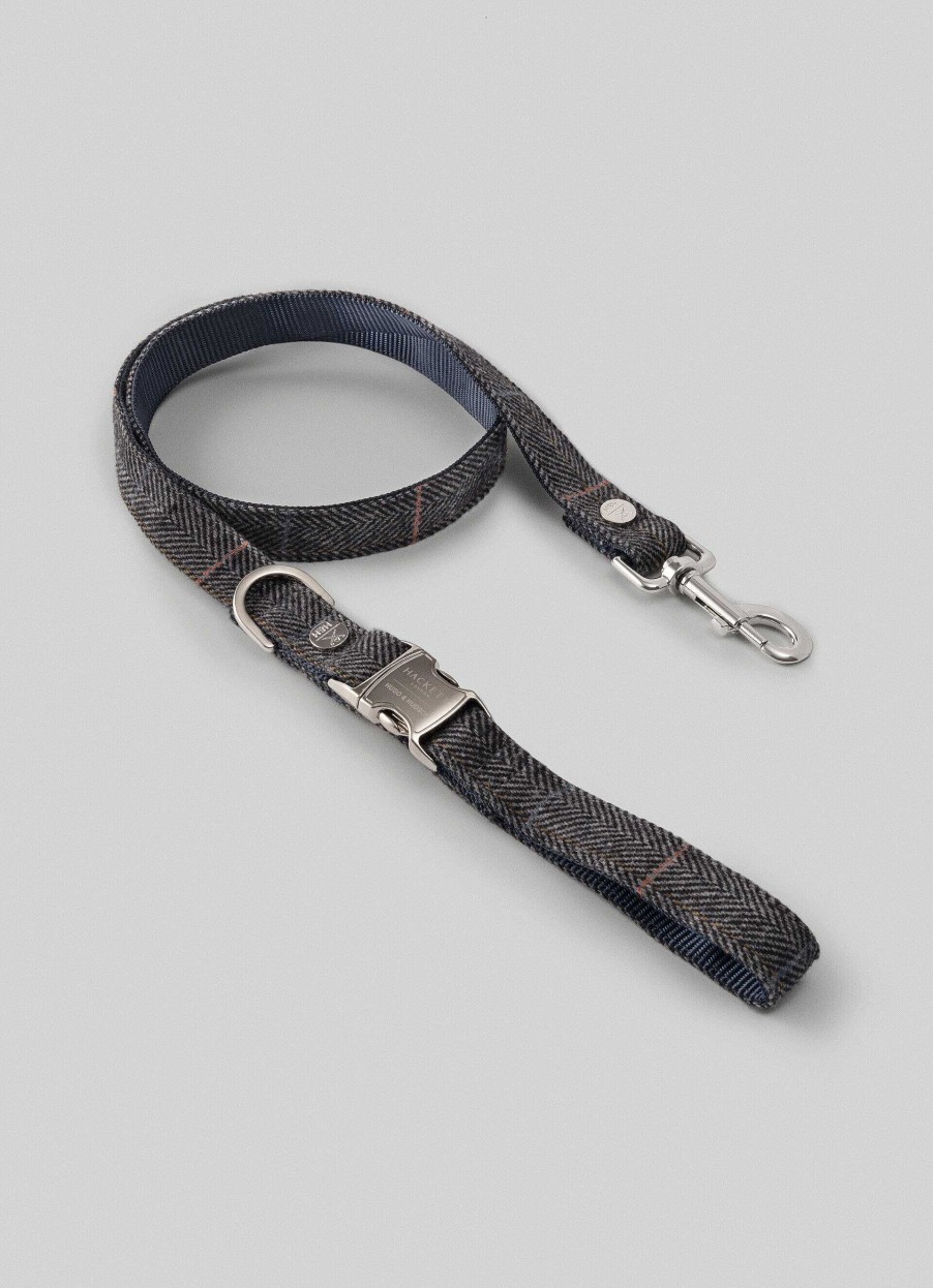 Accessoires Hackett London | Gecontroleerde Leid Voor Honden