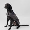 Jongens Hackett London | Geruite Jas Voor Honden - Groot