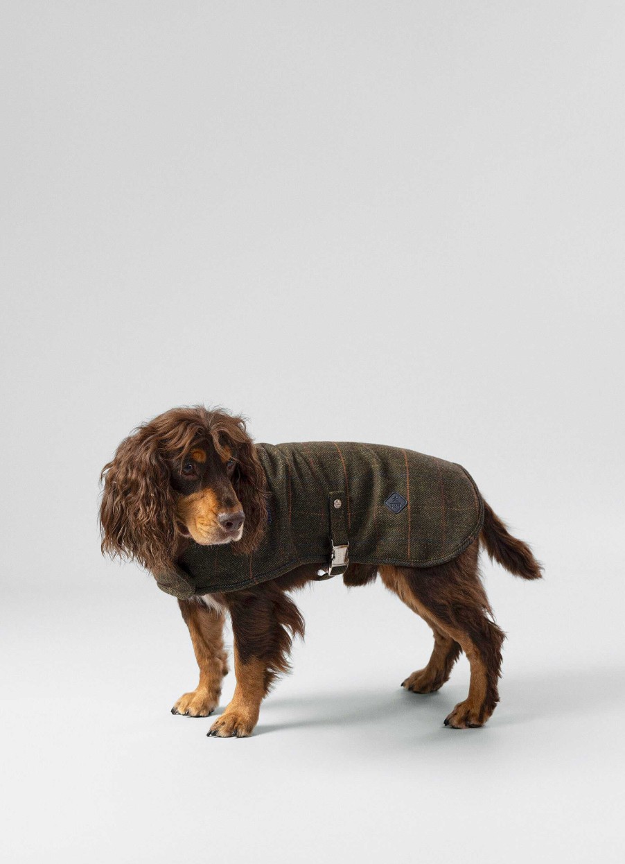 Accessoires Hackett London | Geruite Jas Voor Honden - Klein