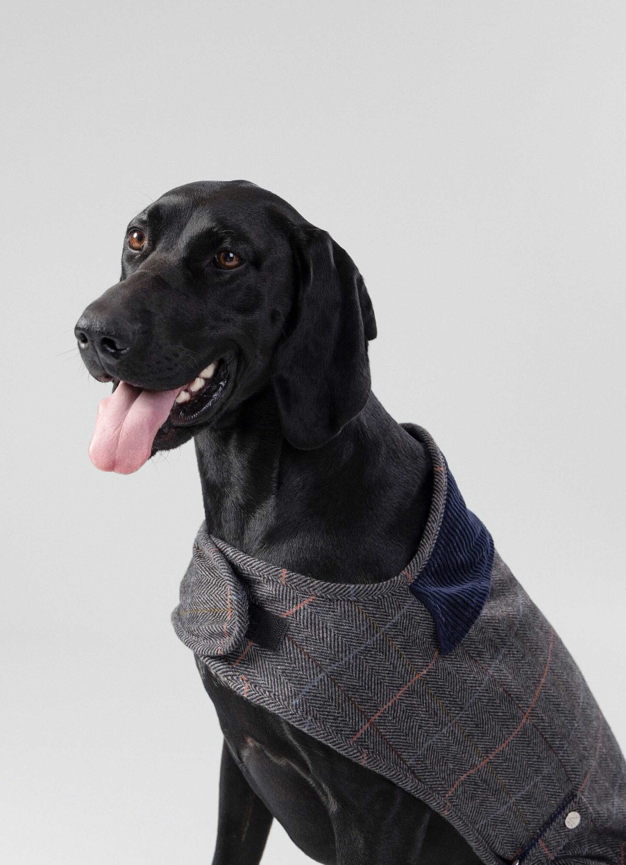 Accessoires Hackett London | Geruite Jas Voor Honden - Klein