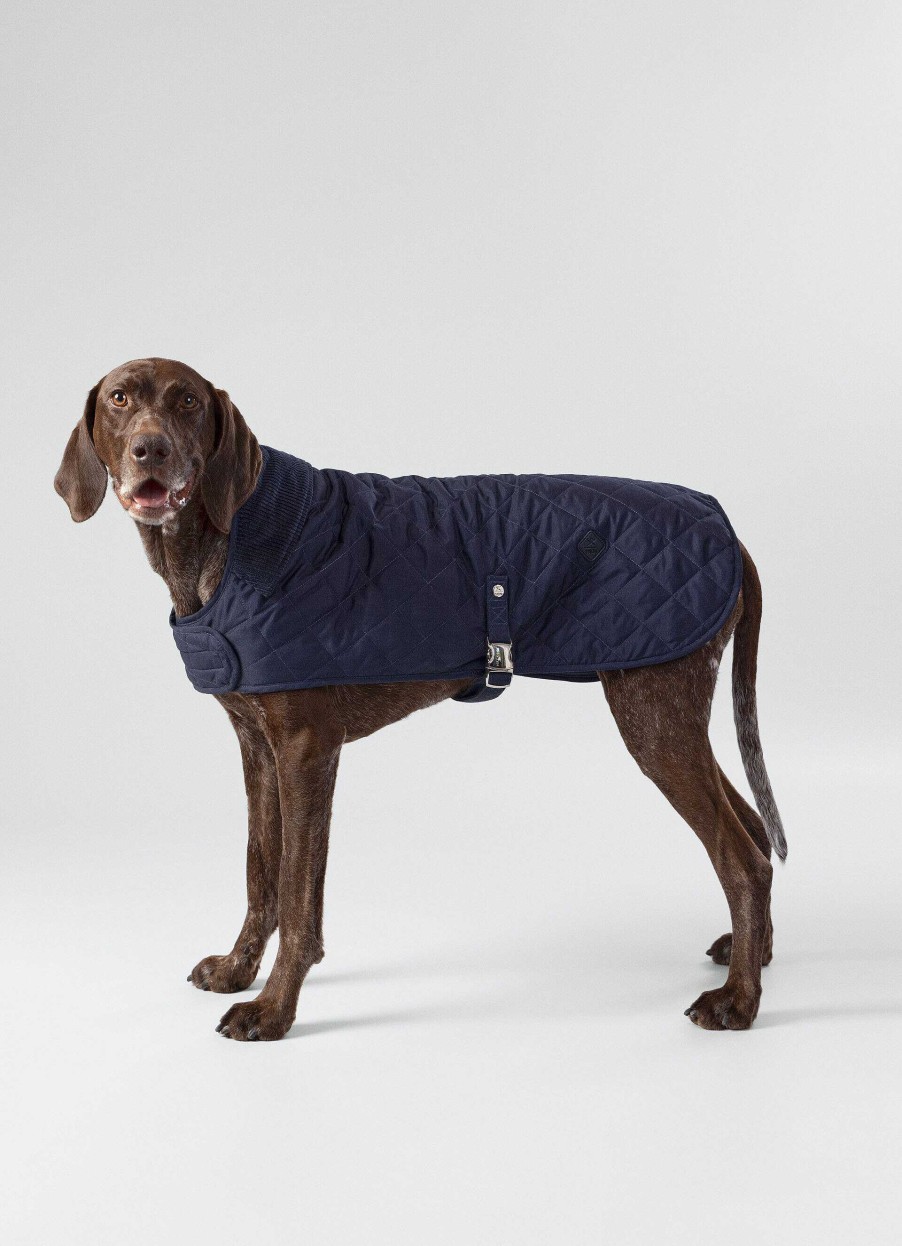 Accessoires Hackett London | Gewatteerd Jas Voor Honden - Groot