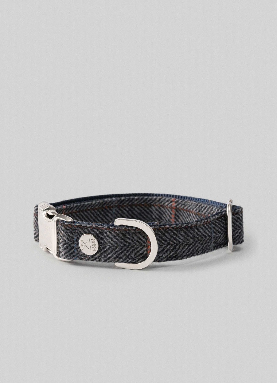 Accessoires Hackett London | Geruite Kraag Voor Honden