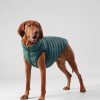 Accessoires Hackett London | Omkeerbaar Gewatteerjas Voor Honden - Groot