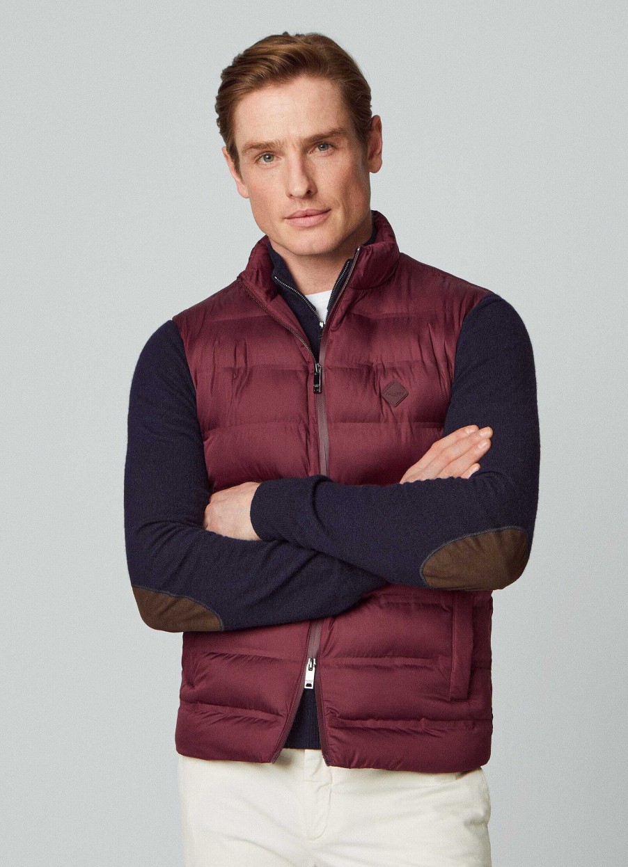 Kleding Hackett London | Gewatteerde Gilet