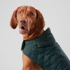 Accessoires Hackett London | Gewatteerd Jas Voor Honden - Medium