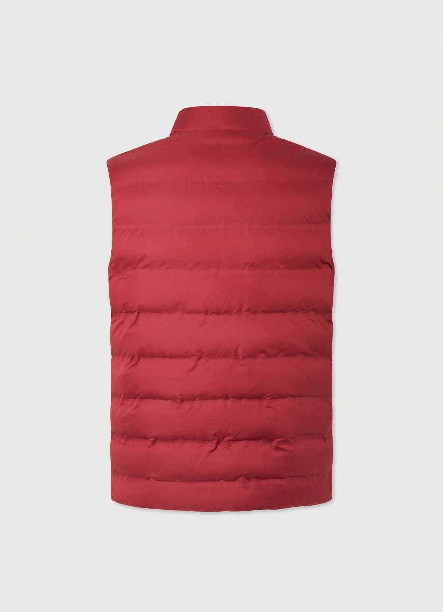 Kleding Hackett London | Slim Fit Gewatteerd Gilet