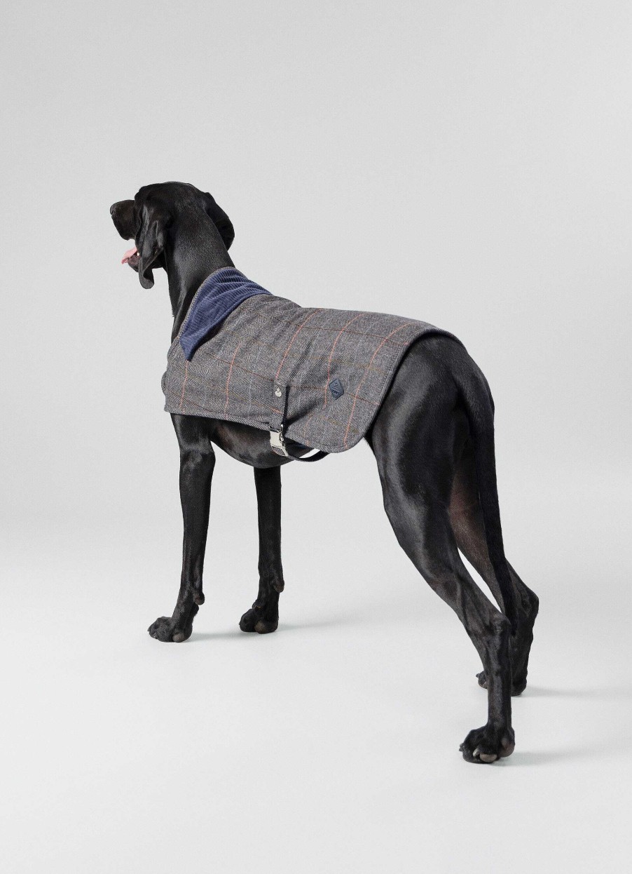 Accessoires Hackett London | Geruite Jas Voor Honden - Groot