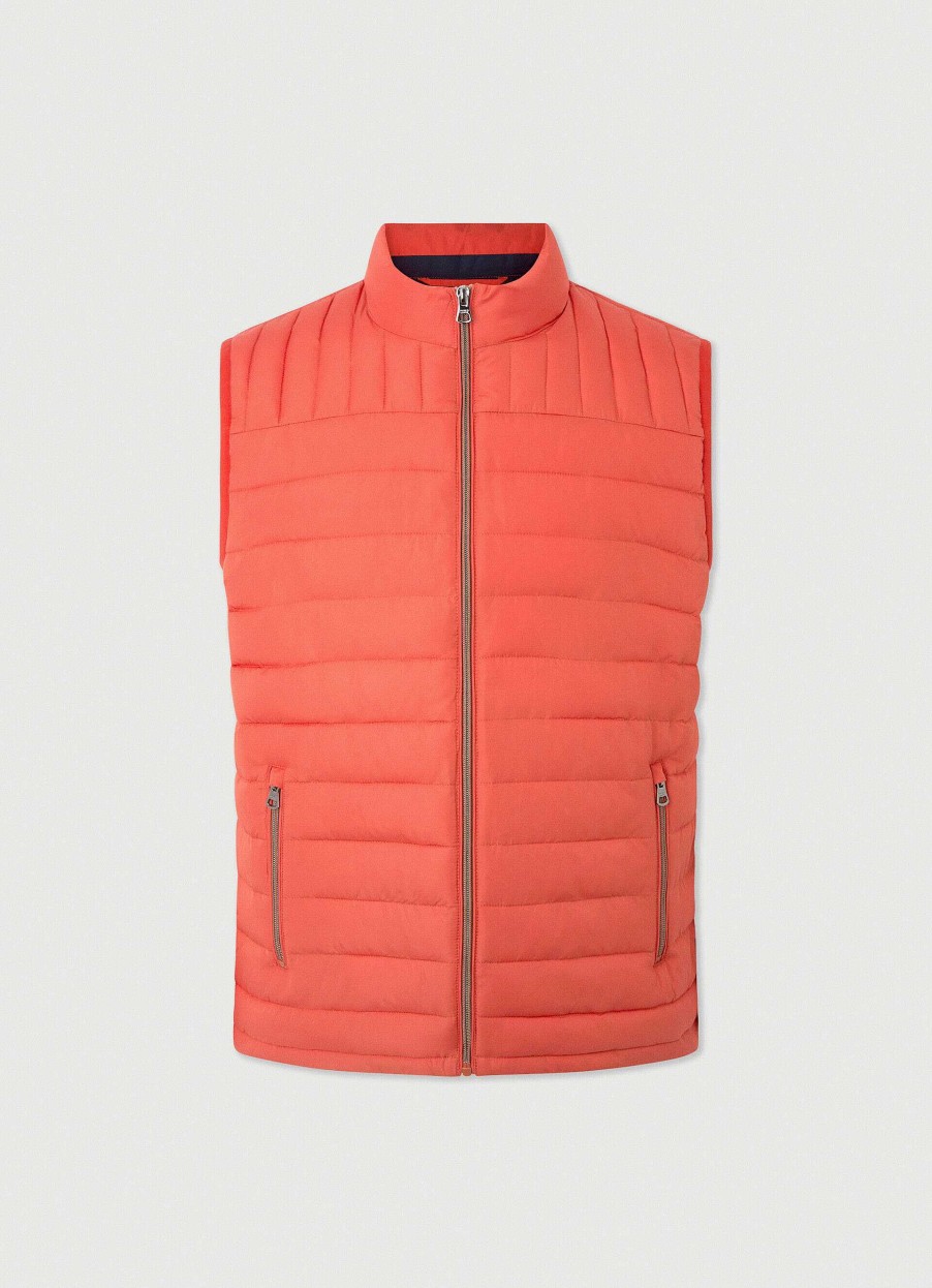 Kleding Hackett London | Ultralicht Gewatteerd Gilet