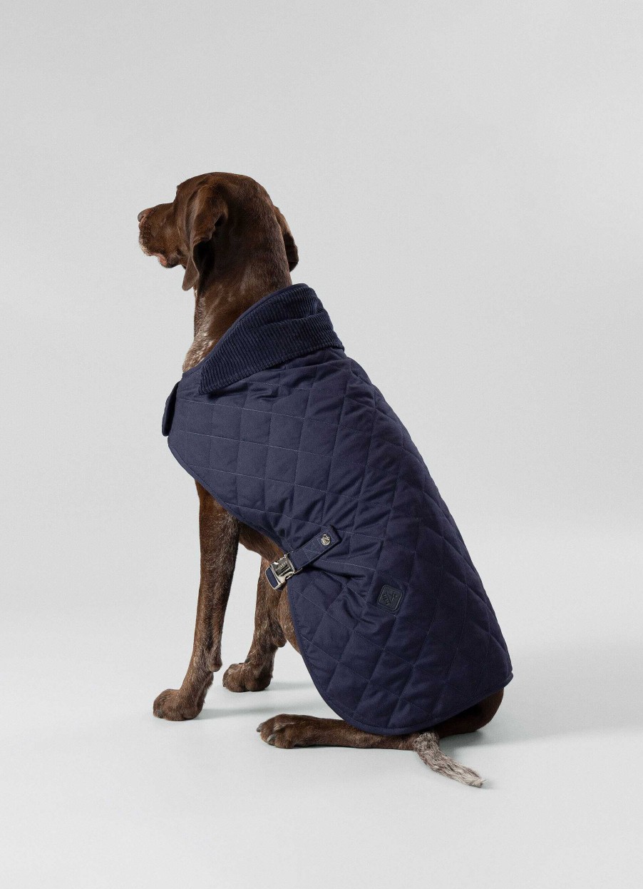 Accessoires Hackett London | Gewatteerd Jas Voor Honden - Groot