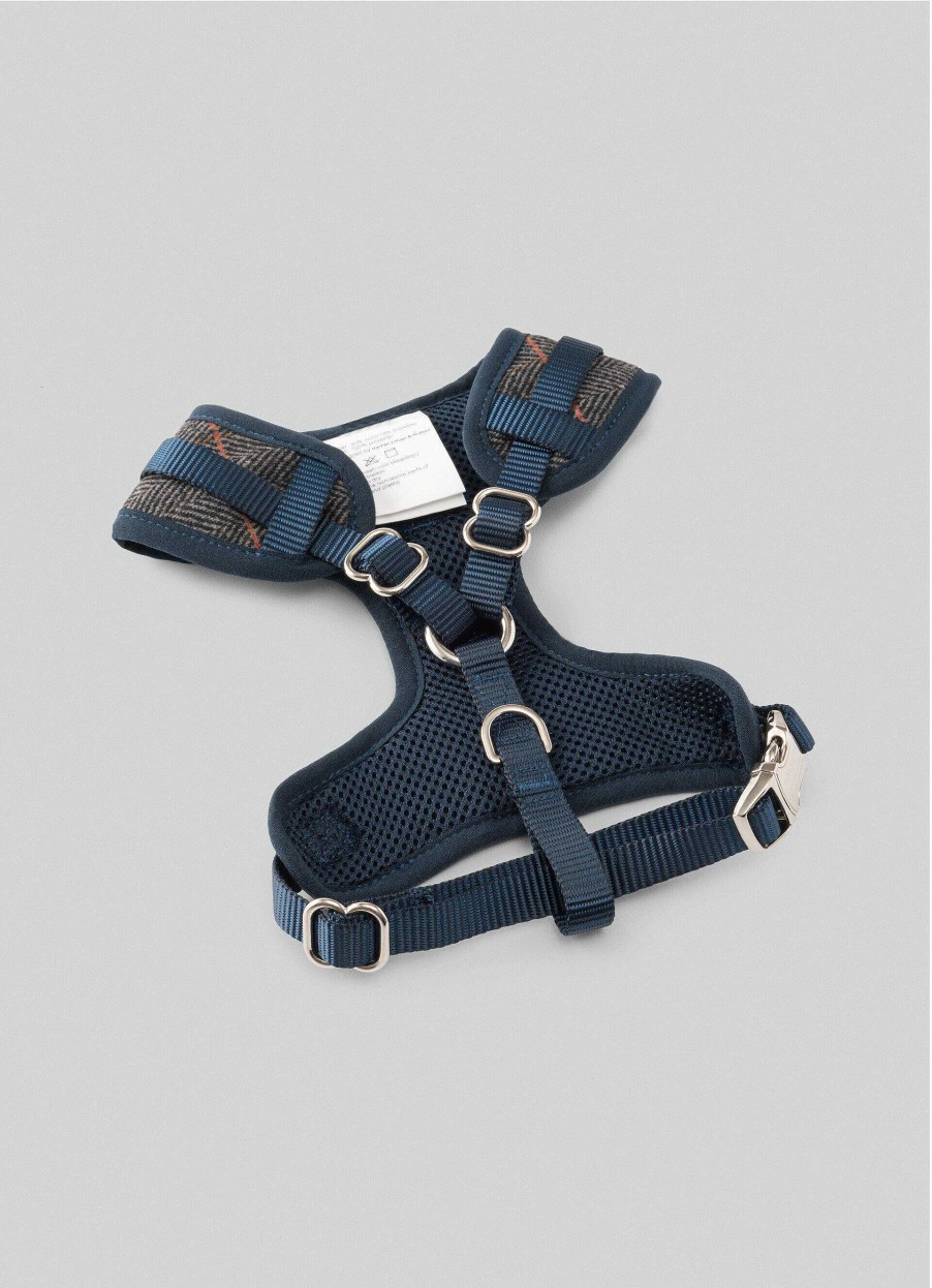 Accessoires Hackett London | Gecontroleerd Harnas Voor Honden