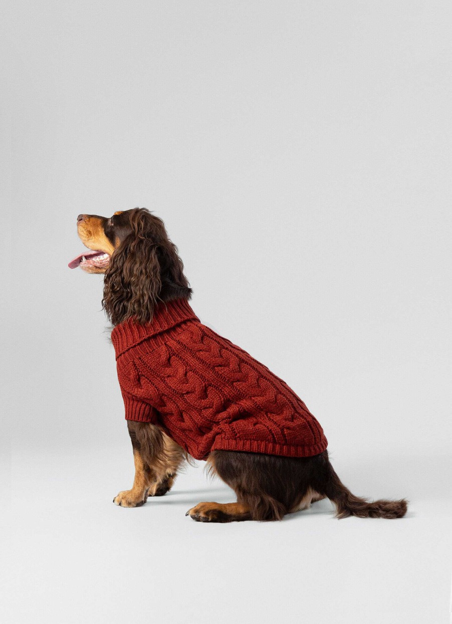 Accessoires Hackett London | Gebreide Kabeltrui Voor Honden