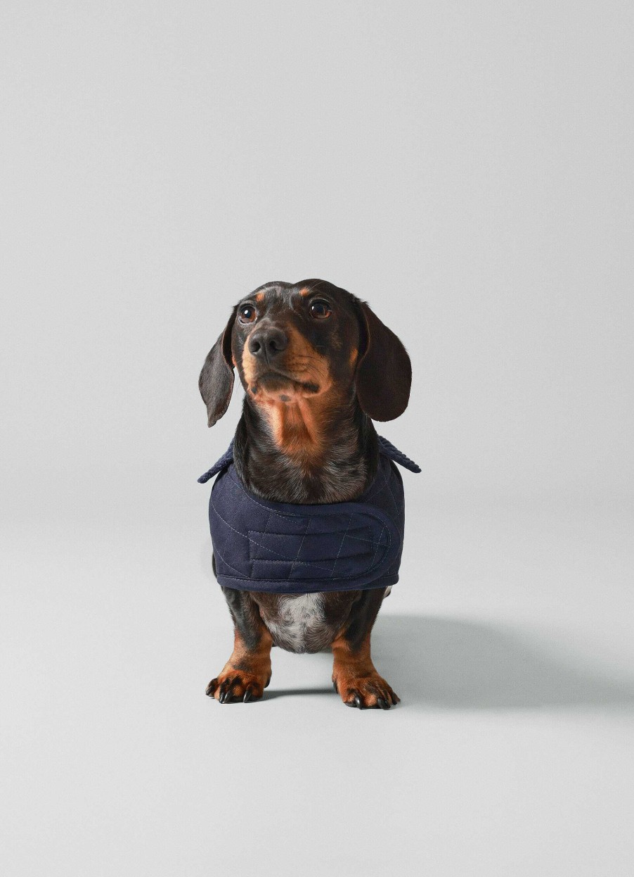 Accessoires Hackett London | Gewatteerd Jas Voor Honden - Klein