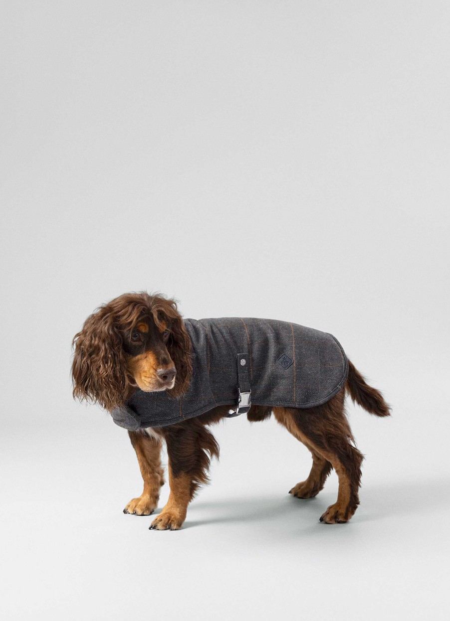 Accessoires Hackett London | Geruite Jas Voor Honden - Klein