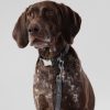 Accessoires Hackett London | Gecontroleerde Leid Voor Honden