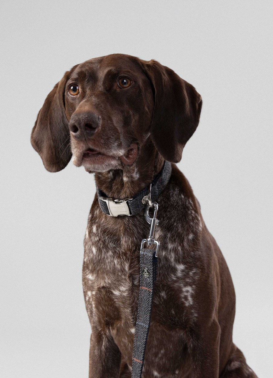 Accessoires Hackett London | Gecontroleerde Leid Voor Honden