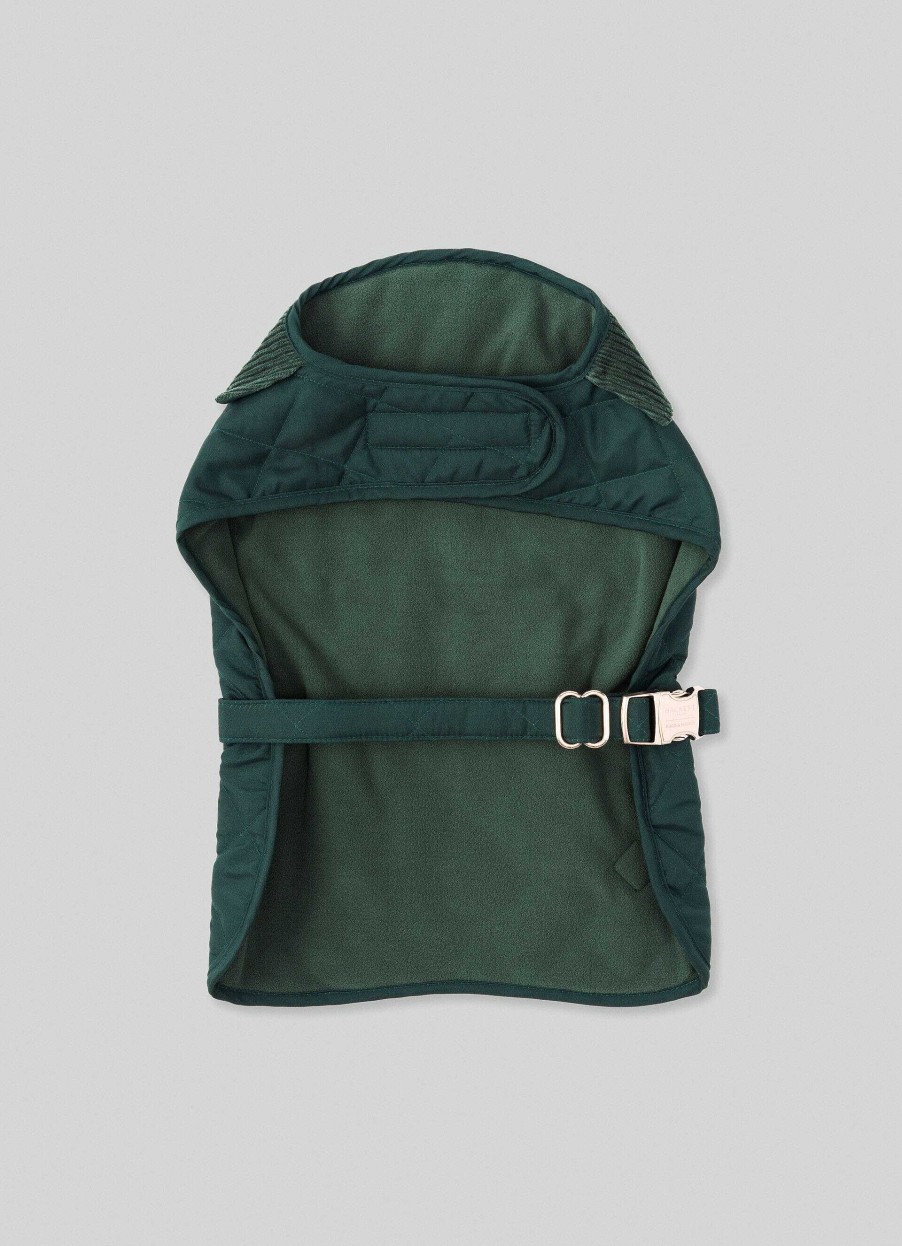 Accessoires Hackett London | Gewatteerd Jas Voor Honden - Medium