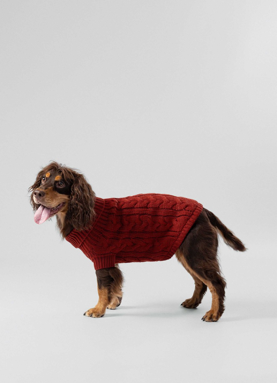 Accessoires Hackett London | Gebreide Kabeltrui Voor Honden