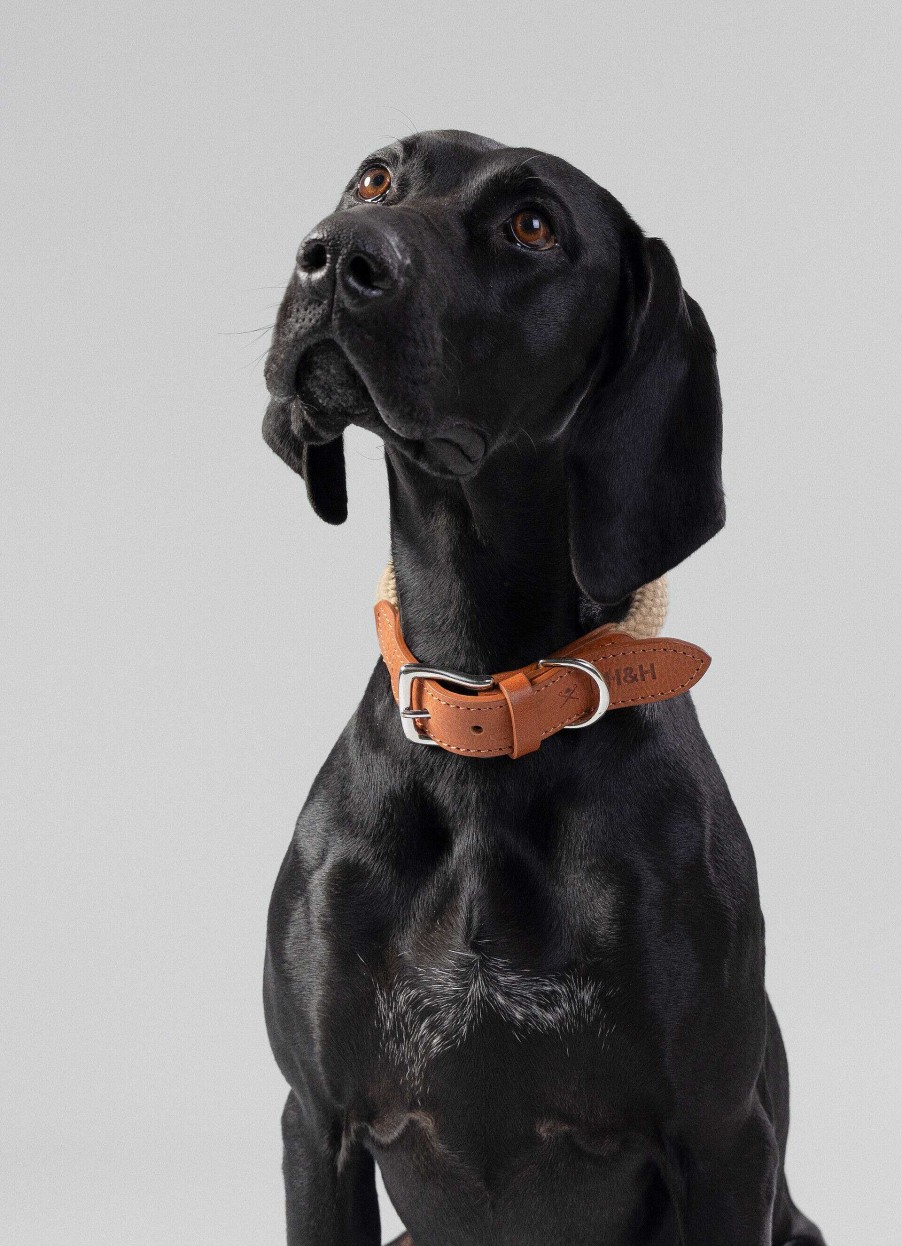 Accessoires Hackett London | Touw En Lederen Halsband Voor Honden - Klein