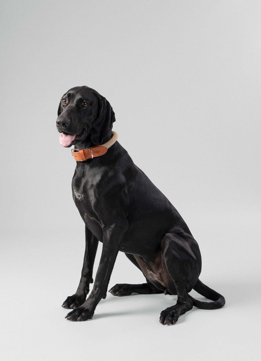 Accessoires Hackett London | Touw En Lederen Kraag Voor Honden - Groot