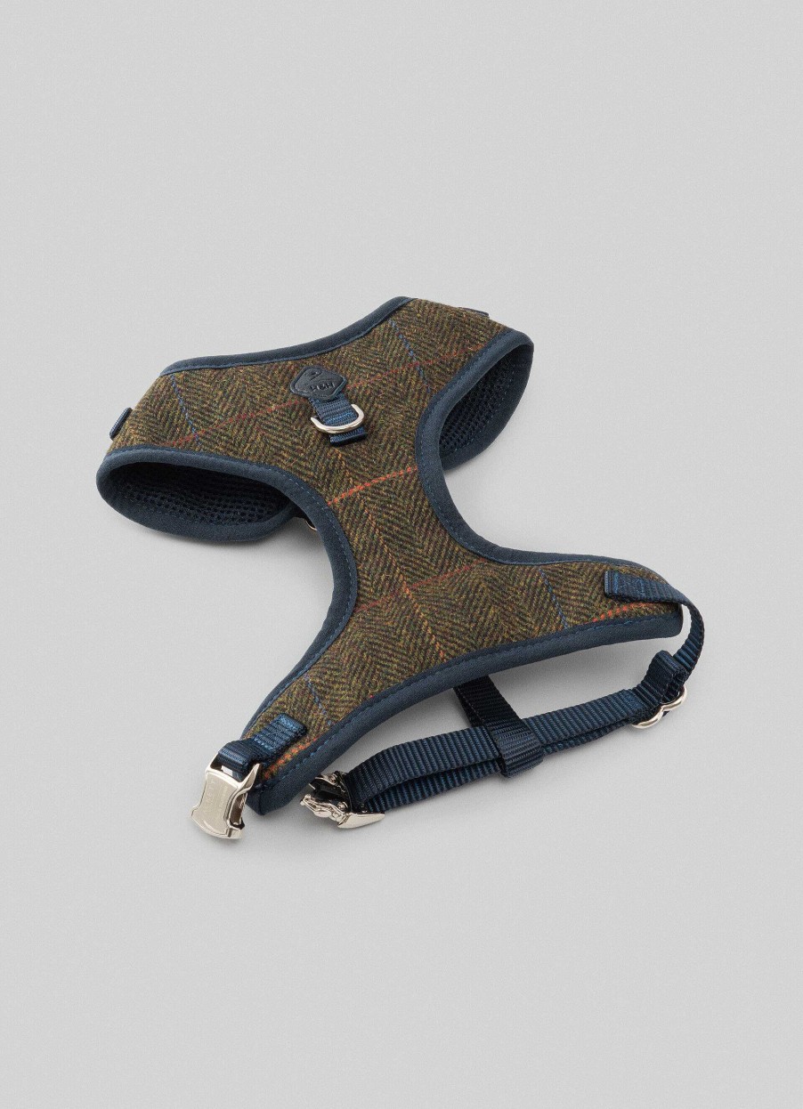 Accessoires Hackett London | Gecontroleerd Harnas Voor Honden