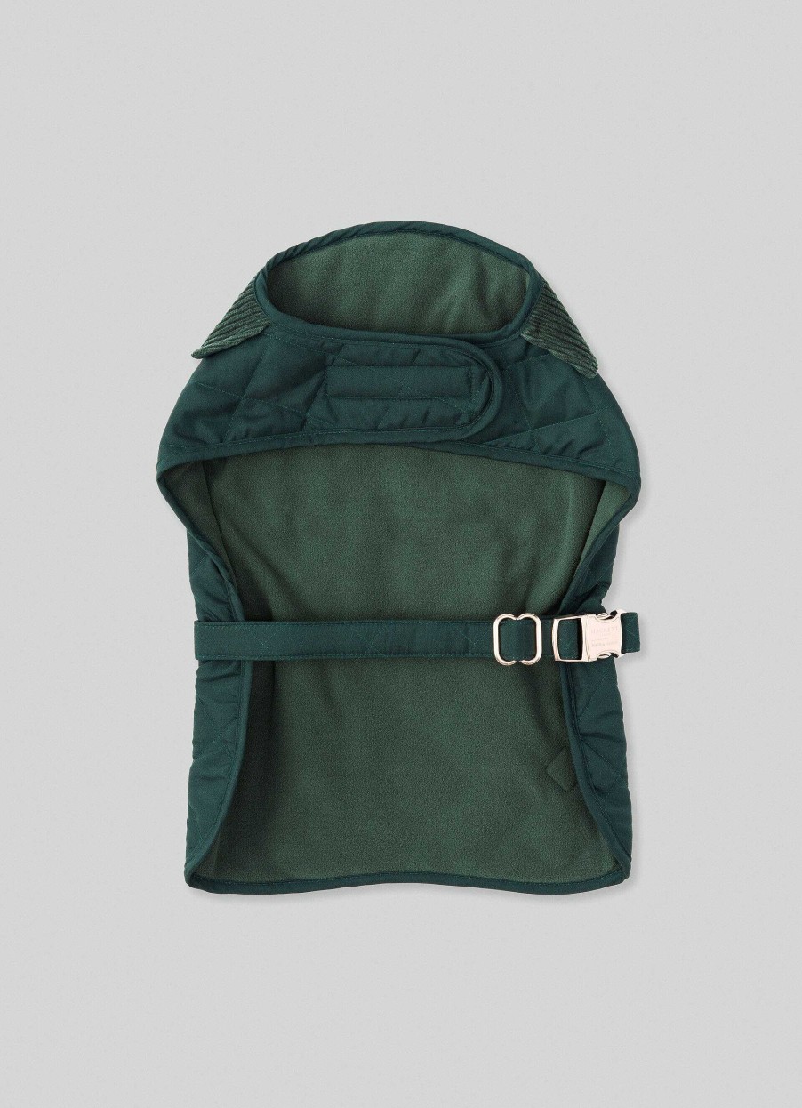 Accessoires Hackett London | Gewatteerd Jas Voor Honden - Klein