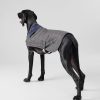 Jongens Hackett London | Geruite Jas Voor Honden - Klein